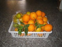 Appelsnur og mandarnur